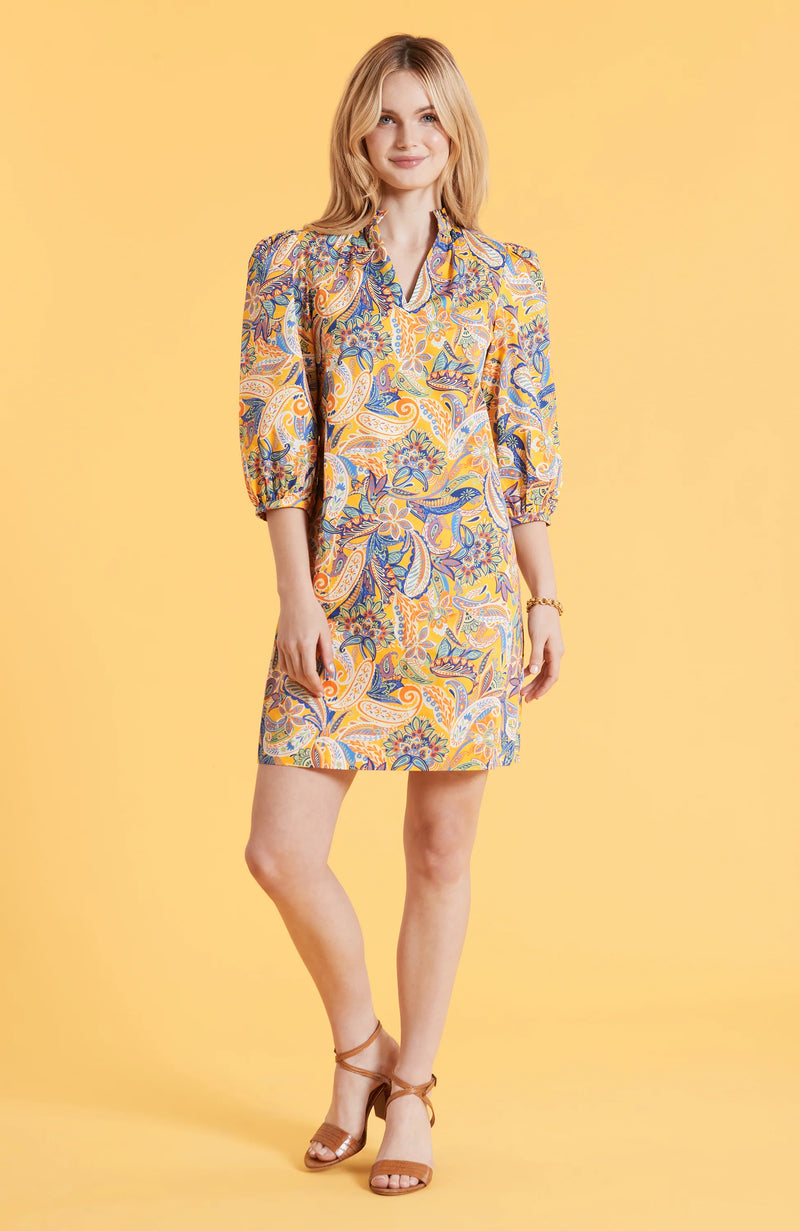 Tyler Boe Sheri Yellow Paisley Dress Multi